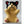 Load image into Gallery viewer, Animal Chopstick Rest Set / Dog
