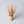 Handcrafted Japanese Matcha Tea Whisk: Kazuho Chasen-Tea & Coffee Ware-Chikuka-en-SANTOKU NYC