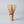 Handcrafted Japanese Matcha Tea Whisk: Kazuho Chasen-Tea & Coffee Ware-Chikuka-en-SANTOKU NYC
