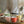Load image into Gallery viewer, 30% 0ff【Sample Sale】Color Mug -artichoke / by ZERO JAPAN
