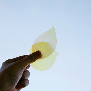 Flower Petal and Leaf Memos Leaf-Yellow-Stationery-paperable-santoku nyc