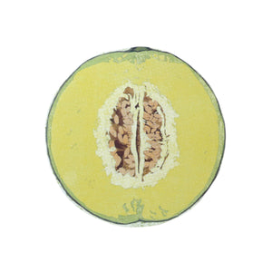 Fruits and Veggie Memo Blocks Fruit-Melon-Stationery-paperable-santoku nyc