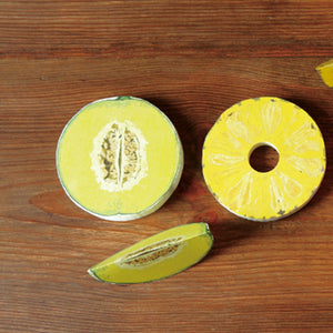 Fruits and Veggie Memo Blocks Fruit-Melon-Stationery-paperable-santoku nyc