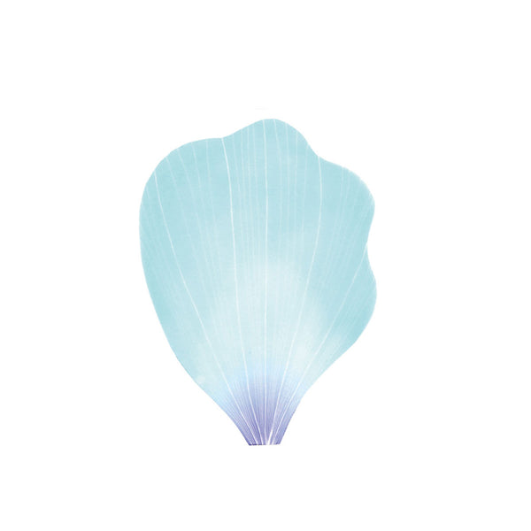 Flower Petal and Leaf Memos Flower Petal-Blue