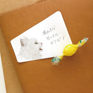 Animal Voice Stickies Cats-Chinchilla Cat-Stationery-paperable-santoku nyc