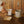 APTO Contour Coaster Set, Wood - Yamazaki Home