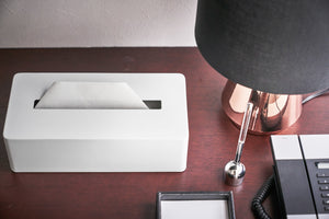 Tissue Case, Steel-Tissue Case-Yamazaki Home-santoku nyc