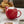 Load image into Gallery viewer, ZERO JAPAN - BEE HOUSE - 34 Ounce Ceramic Teapot - Tomato -
